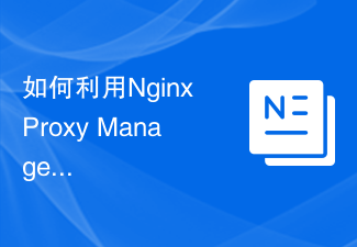 Nginx Proxy Manager を使用して効率的なリバース プロキシ サーバーを構築する方法