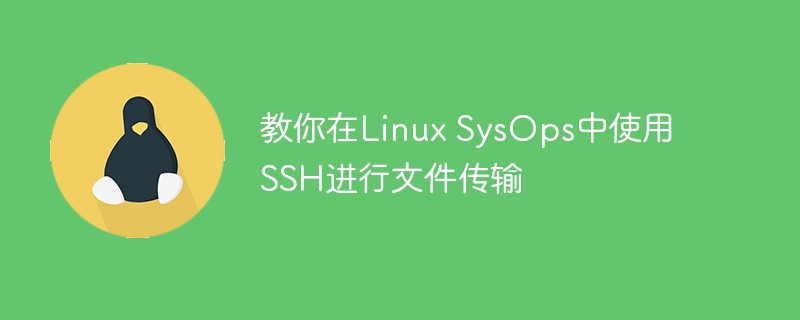 教你在Linux SysOps中使用SSH进行文件传输