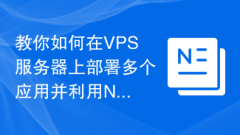 教你如何在VPS服务器上部署多个应用并利用NGINX和PM2进行管理