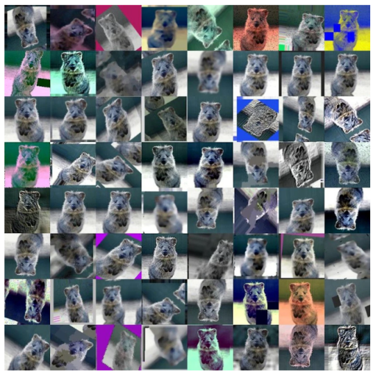 Seven Steps to Prepare Datasets for Image AI Projects