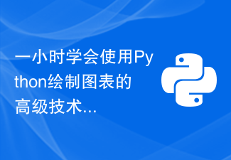 한 시간 안에 Python을 사용하여 고급 차트 작성 기술을 알아보세요.