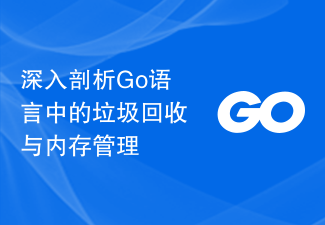 Eingehende Analyse der Speicherbereinigung und Speicherverwaltung in der Go-Sprache