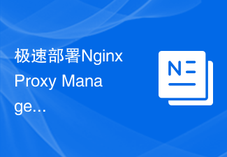 极速部署Nginx Proxy Manager：轻松应对高并发访问