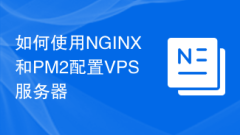 如何使用NGINX和PM2配置VPS服务器