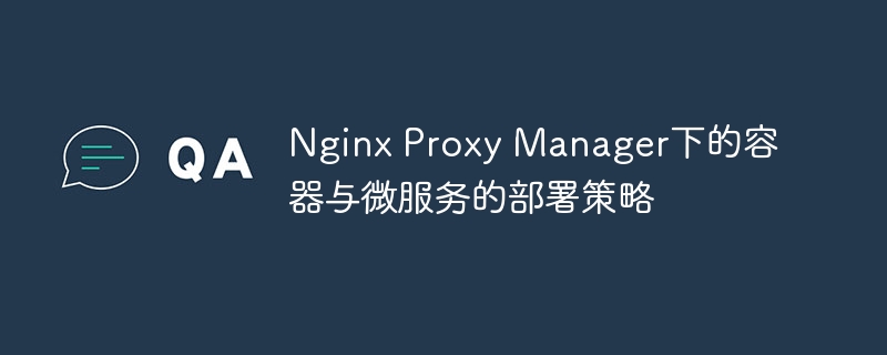 Nginx Proxy Manager下的容器与微服务的部署策略