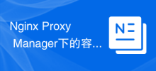 Stratégies de déploiement de conteneurs et de microservices sous Nginx Proxy Manager
