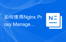 如何使用Nginx Proxy Manager实现Websockets代理