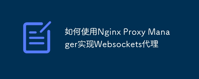 如何使用Nginx Proxy Manager实现Websockets代理