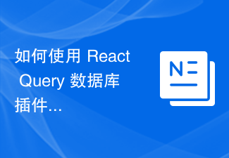 如何使用 React Query 資料庫插件進行資料驗證和格式化？