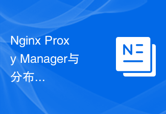 Nginx Proxy Manager與分散式儲存系統的整合：解決大量資料存取問題