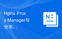 Nginx Proxy Manager与分布式存储系统的集成：解决海量数据访问问题