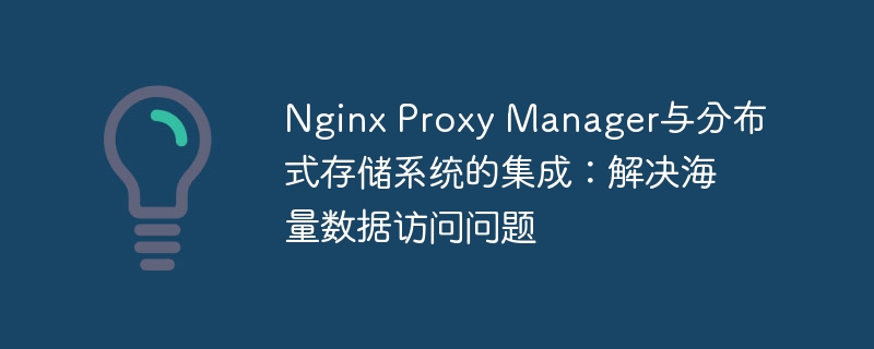 Nginx Proxy Manager与分布式存储系统的集成：解决海量数据访问问题