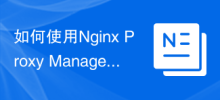 如何使用Nginx Proxy Manager实现网络流量控制