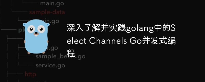 深入了解并实践golang中的Select Channels Go并发式编程