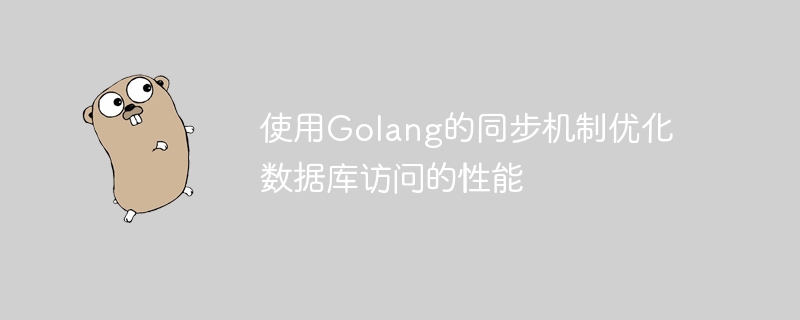 Use Golangs synchronization mechanism to optimize the performance of database access