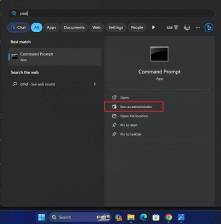 Windows 11 Copilot 启用指南:简单教程