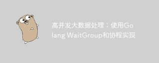 高并发大数据处理:使用Golang WaitGroup和协程实现