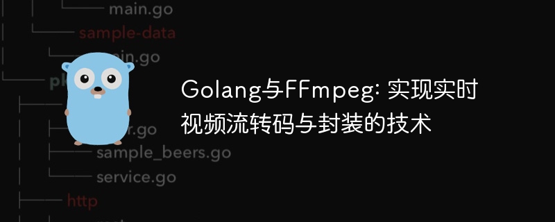 Golang与FFmpeg: 实现实时视频流转码与封装的技术