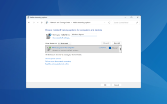 Comment activer ou désactiver DLNA sur Windows 11
