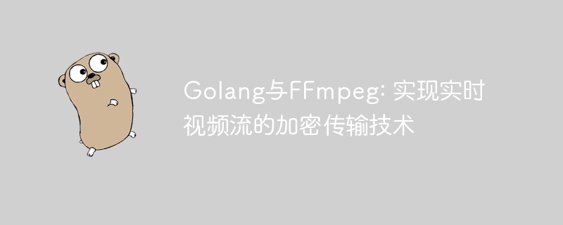 Golang与FFmpeg: 实现实时视频流的加密传输技术