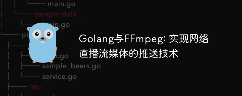 Golang与FFmpeg: 实现网络直播流媒体的推送技术