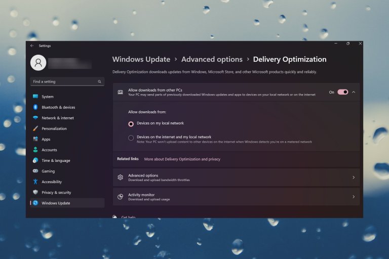 什么是 windows 11 中的传递优化文件，您可以删除它们吗？