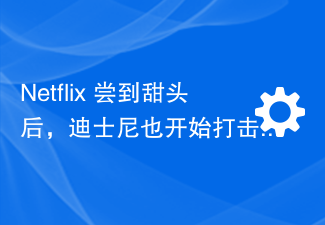 Netflix 尝到甜头后,迪士尼也开始打击 Disney+ 密码共享行为