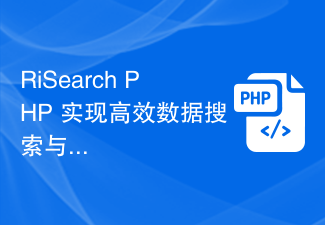 RiSearch PHP implementiert eine Algorithmusoptimierung für eine effiziente Datensuche und -abgleichung