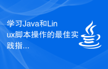 学习Java和Linux脚本操作的最佳实践指南