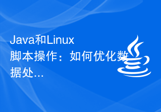 Java 및 Linux 스크립트 작업: 데이터 처리 프로세스를 최적화하는 방법