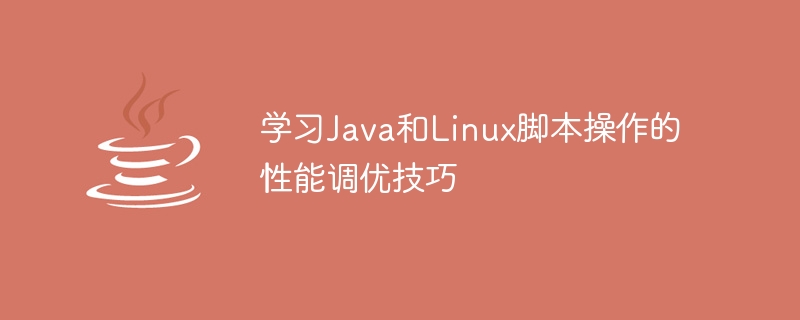 学习Java和Linux脚本操作的性能调优技巧