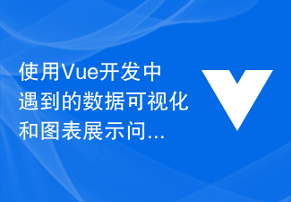 Vue 開発の使用中に発生するデータの視覚化とグラフ表示の問題