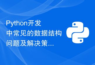 Häufige Datenstrukturprobleme und Lösungsstrategien in der Python-Entwicklung
