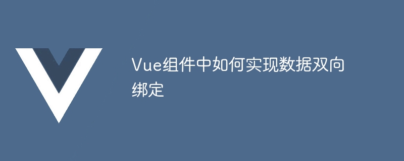 Vue 구성 요소에서 양방향 데이터 바인딩을 구현하는 방법