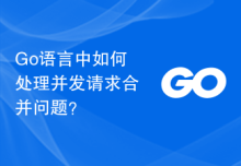 Go语言中如何处理并发请求合并问题？