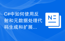 C#中如何使用反射和元数据处理代码生成和扩展