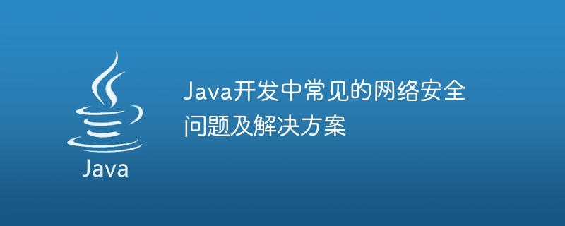 Java 개발의 일반적인 네트워크 보안 문제 및 솔루션