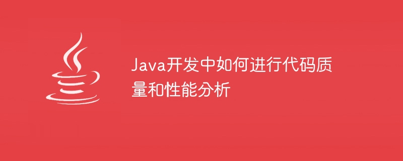 Java开发中如何进行代码质量和性能分析