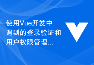 使用Vue开发中遇到的登录验证和用户权限管理问题