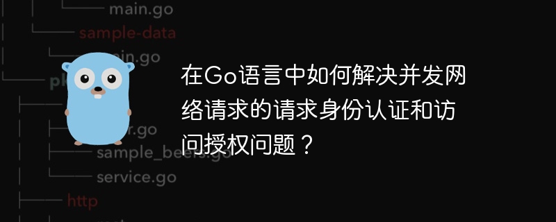 在Go語言中如何解決並發網路請求的請求身分認證和存取授權問題？