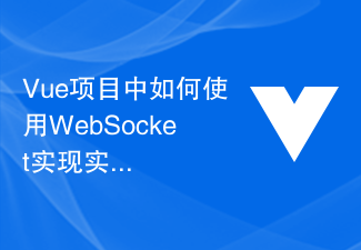 Vue项目中如何使用WebSocket实现实时通信