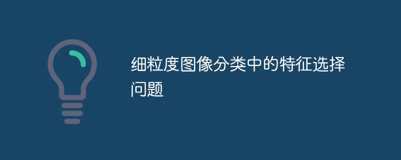 詳細な画像分類における特徴選択の問題