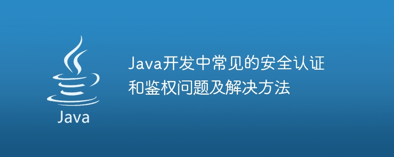 Java 개발의 일반적인 보안 인증 및 인증 문제와 솔루션