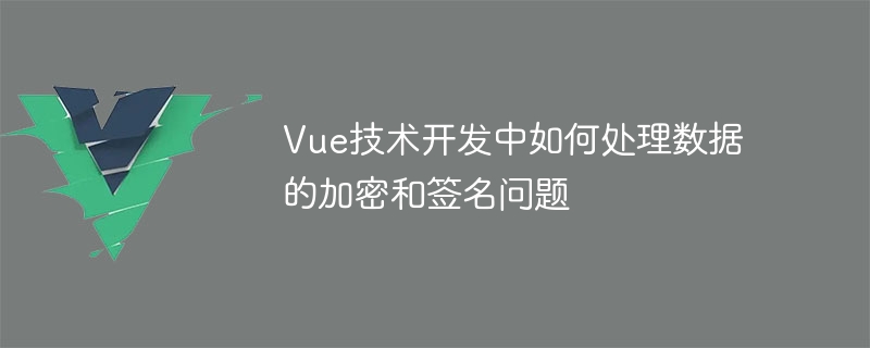 Vue テクノロジー開発におけるデータ暗号化と署名の問題に対処する方法