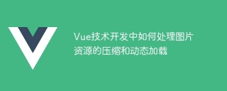 Vue 기술 개발에서 이미지 리소스의 압축 및 동적 로딩을 처리하는 방법