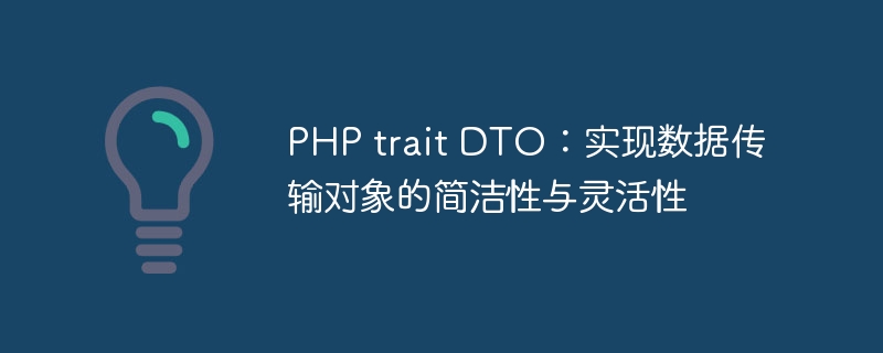 PHP trait DTO：实现数据传输对象的简洁性与灵活性