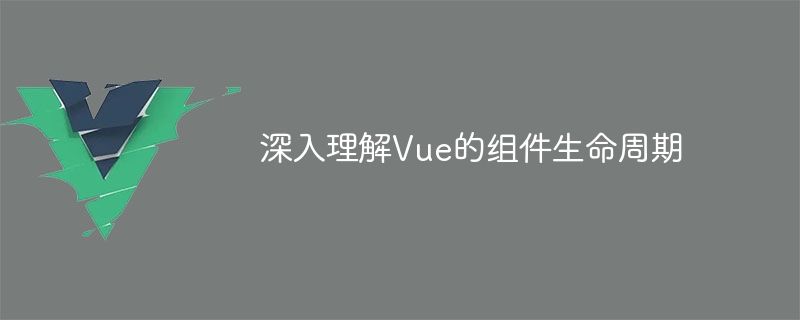 Vue의 구성요소 수명주기에 대한 심층적인 이해