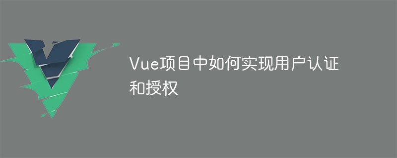 Vue 프로젝트에서 사용자 인증 및 권한 부여를 구현하는 방법