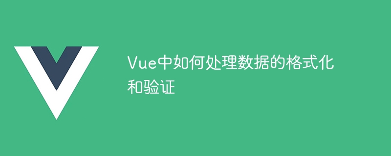 Vue에서 데이터 형식화 및 유효성 검사를 처리하는 방법