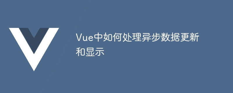 Vue で非同期データの更新と表示を処理する方法